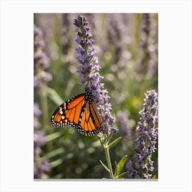 Monarch Butterfly On Lavender 4 Canvas Print