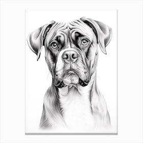Boxer Dog, Line Drawing 5 Canvas Print