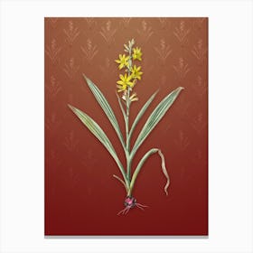 Vintage Wachendorfia Thyrsiflora Botanical on Falu Red Pattern n.0556 Canvas Print