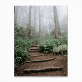 Stairway into a forest in Sintra, Portugal Canvas Print