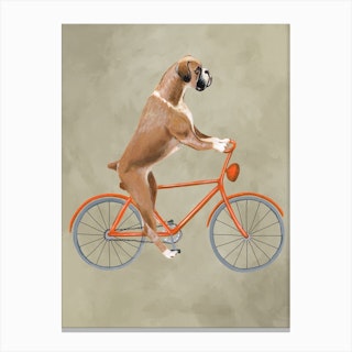 Boxer On Bicycle Canvas Print