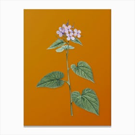 Vintage Morning Glory Flower Botanical on Sunset Orange n.0850 Canvas Print