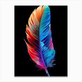 Colorful Feather Canvas Print