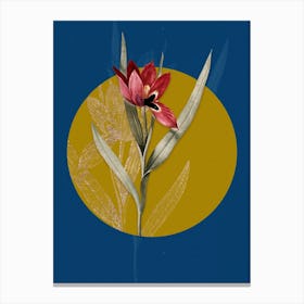Vintage Botanical Tulipa Oculus Colis on Circle Yellow on Blue Canvas Print