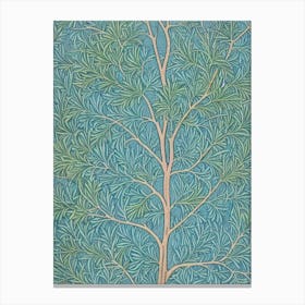 Jack Pine tree Vintage Botanical Canvas Print