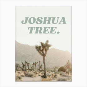 Joshua Tree Print Canvas Print