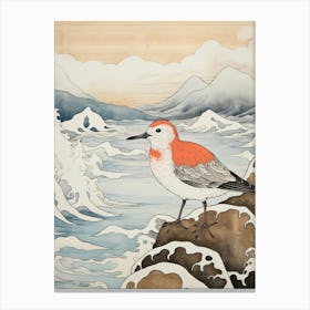 Bird Illustration Dunlin 2 Canvas Print