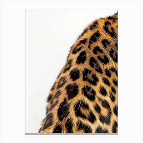 Leopard On A White Background Canvas Print