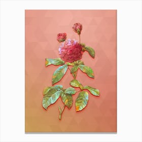 Vintage Agatha Rose In Bloom Botanical Art on Peach Pink Canvas Print