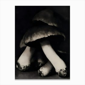 'The Mushrooms' Canvas Print