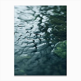 Water Droplet Canvas Print