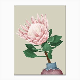 Pink King Protea In A Ceramic Vase Canvas Print