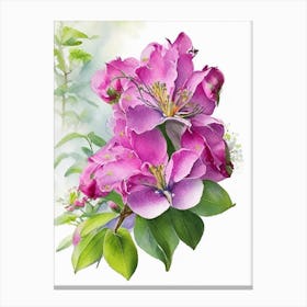 Rhododendron Wildflower Watercolour Canvas Print