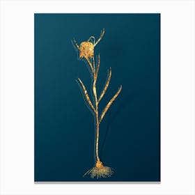 Vintage Chess Flower Botanical in Gold on Teal Blue n.0282 Canvas Print