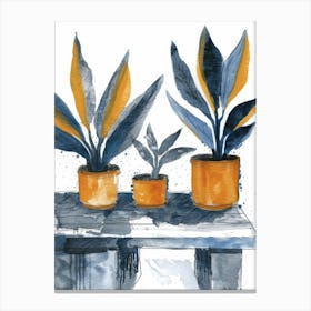 Three Potted Plants 1 Canvas Print