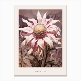 Floral Illustration Edelweiss 1 Poster Canvas Print