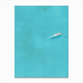 Pixelcut Export (9) 1 Canvas Print