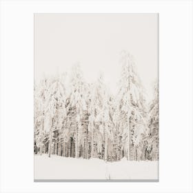 White Winter Woods Canvas Print