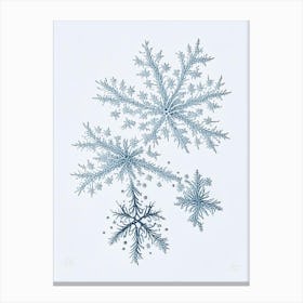 Fernlike Stellar Dendrites, Snowflakes, Quentin Blake Illustration Canvas Print