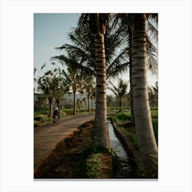 Bali Rice Fields Photograph, 5 Canvas Print