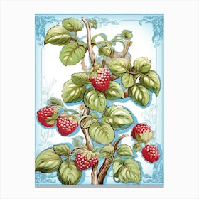 Raspberries Illustration 1 Canvas Print