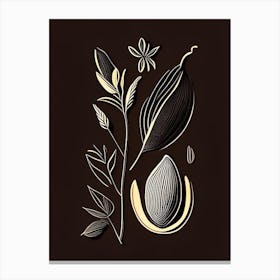 Black Cardamom Spices And Herbs Retro Minimal 2 Canvas Print