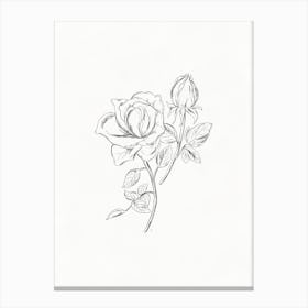Roses In Pencil Canvas Print