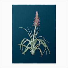 Vintage Pina Cortadora Botanical Art on Teal Blue n.0009 Canvas Print