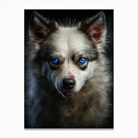 Blue eyes dog Canvas Print