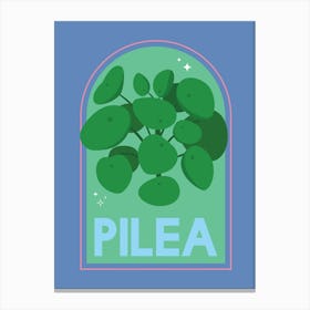 Pilea Canvas Print