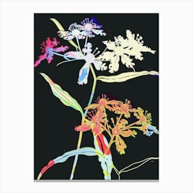 Neon Flowers On Black Queen Annes Lace 2 Canvas Print