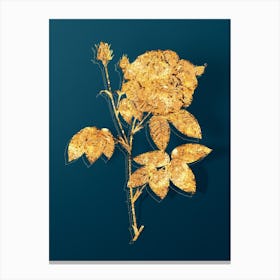 Vintage French Rose Botanical in Gold on Teal Blue n.0104 Canvas Print