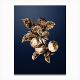 Gold Botanical Apple on Midnight Navy Canvas Print