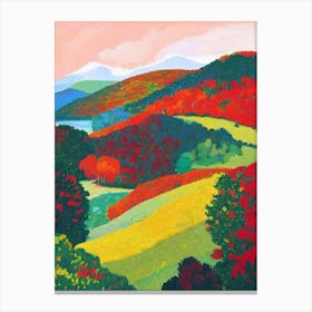 Killarney National Park 1 Ireland Abstract Colourful Canvas Print