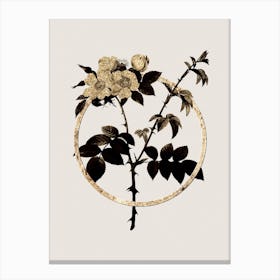 Gold Ring White Flowered Rose Glitter Botanical Illustration n.0063 Canvas Print