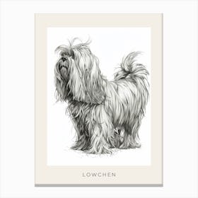 Lowchen Dog Line Sketch Poster Canvas Print