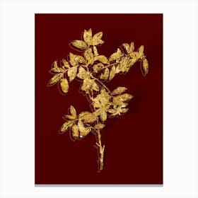 Vintage Apple Berry Botanical in Gold on Red Canvas Print