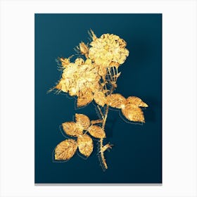 Vintage White Damask Rose Botanical in Gold on Teal Blue n.0350 Canvas Print