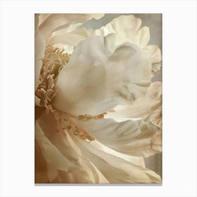 Soft Beauty Canvas Print