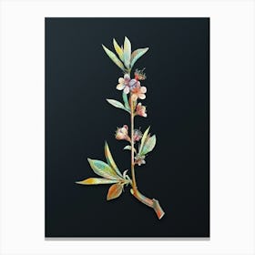 Vintage Pink Flower Branch Botanical Watercolor Illustration on Dark Teal Blue n.0402 Canvas Print