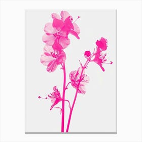 Hot Pink Coral Bells Canvas Print