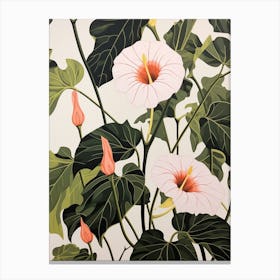 Flower Illustration Morning Glory 2 Canvas Print