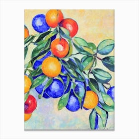 Kumquat Vintage Sketch Fruit Canvas Print