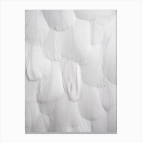 Soft White Feathers Canvas Print