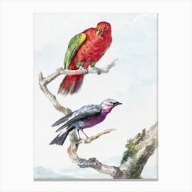 Colorful Vintage Bird Art Print_2835725 Canvas Print