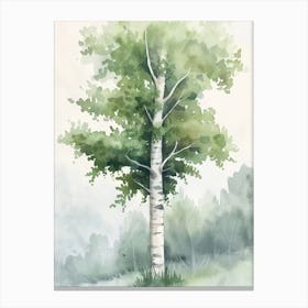 Birch Tree Atmospheric Watercolour Painting 4 Canvas Print