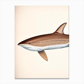 Brown Smoothhound Shark Vintage Canvas Print