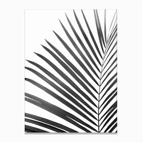 Palm Leaf Black Canvas Print
