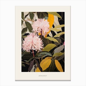 Flower Illustration Bergamot 4 Poster Canvas Print