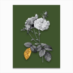 Vintage Damask Rose Black and White Gold Leaf Floral Art on Olive Green n.0123 Canvas Print